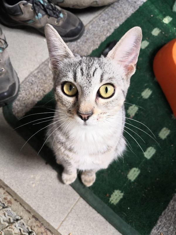 5 Mesi E Nessuno Le Vuole